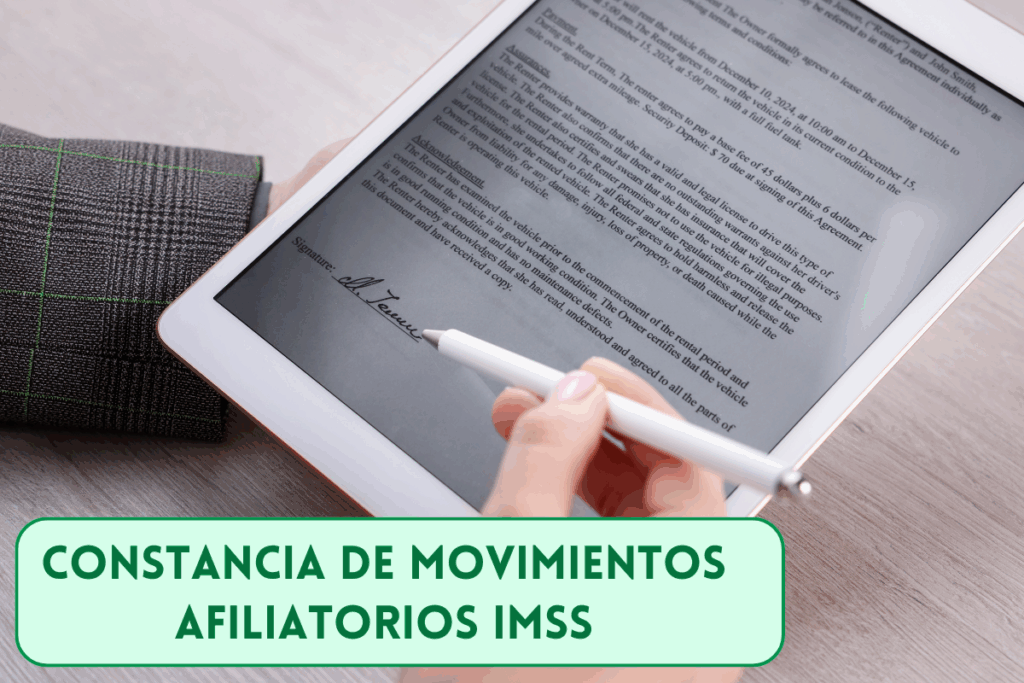 una persona revisando su Constancia de Movimientos Afiliatorios IMSS