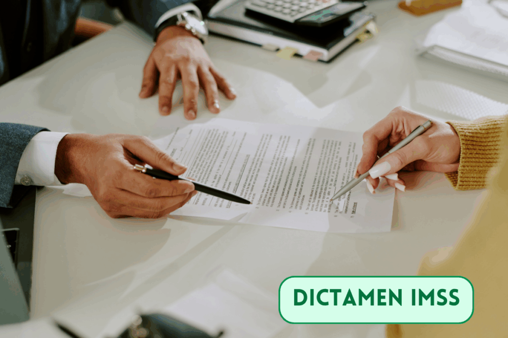 un contador público enseñando un dictamen imss a otra persona